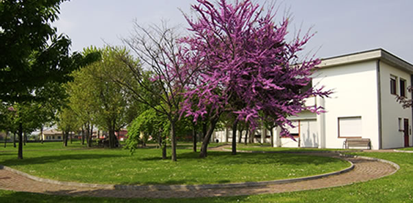 Casa di riposo di Ghedi ONLUS